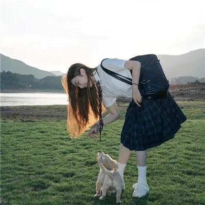 睡觉的笨蛋